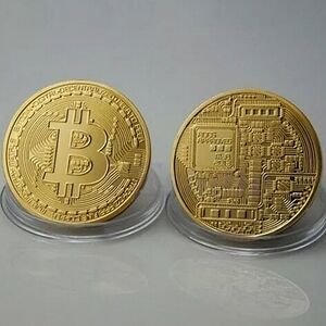 14pcs.  Bitcoin Rounds 24k Gold Plated